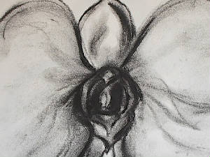 orchidclose.jpg
